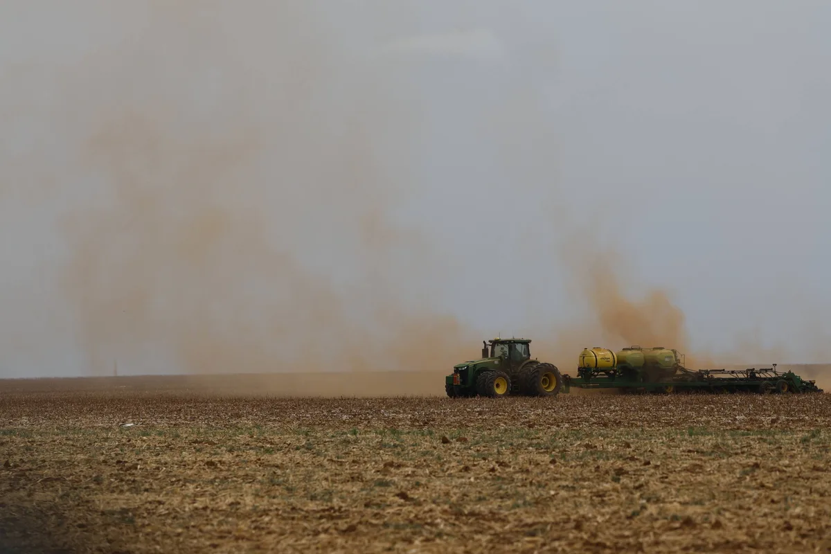 Cerrado perdeu quase 14 milhões de hectares de vegetação nativa perto de rios