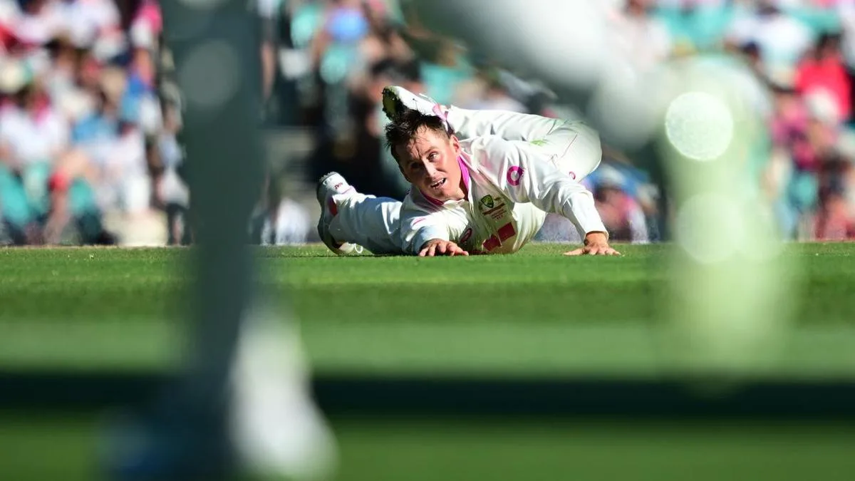 Punters' own backyard slice of SCG history up for grabs