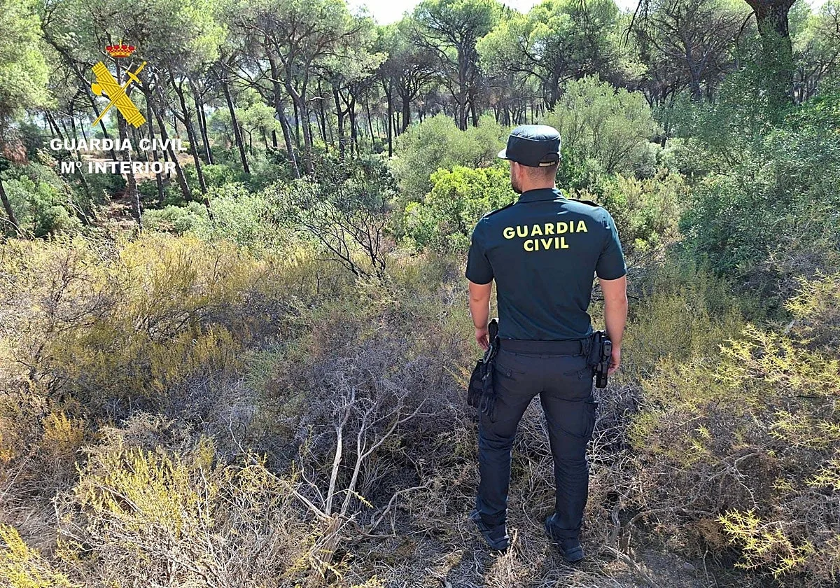 Rescatan a un hombre que llevaba 18 horas herido e incomunicado en un pinar de Aznalcázar
