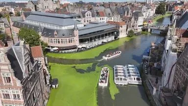Wasserpflanze sorgt in Gent für Probleme