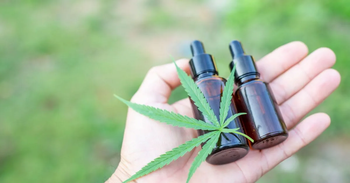 Neuquén autorizó a la primera ONG para el cultivo de cannabis medicinal