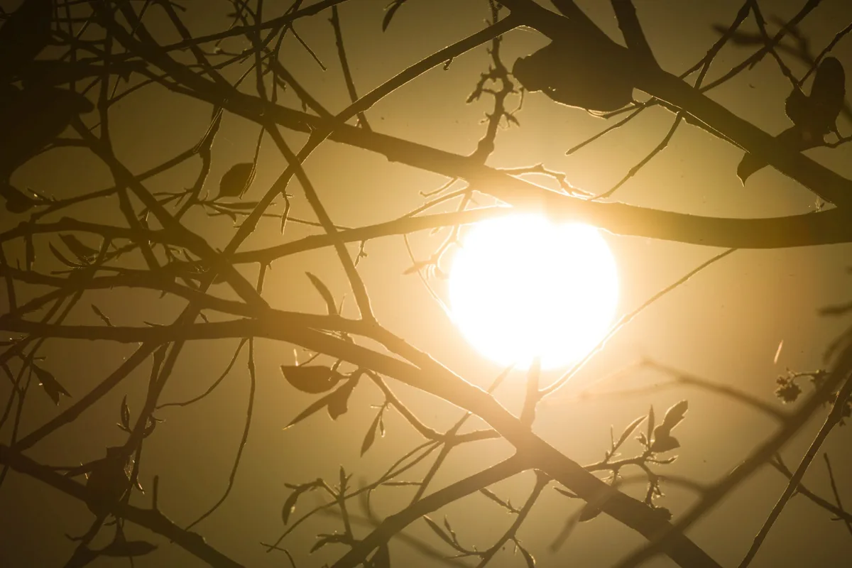 Previsão de 43°C faz Cuiabá levar desfile de 7 de Setembro para a noite