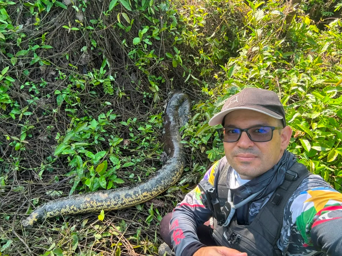 VÍDEO: Pescador esportivo encontra sucuri de 3 metros sem cabeça e cauda perto de rastros de onça no interior de Roraima