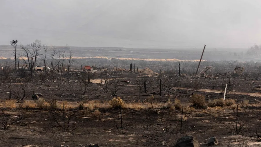 Waldbrände: Brände im US-Bundesstaat Nevada – Dutzende Häuser zerstört