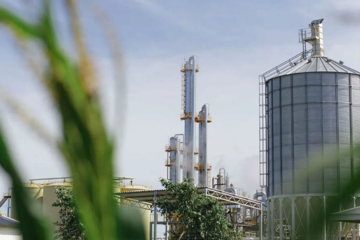 Opinión. Los biocombustibles y la conjura de los necios