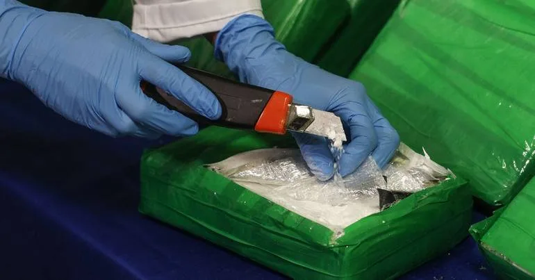 Seis detidos por tráfico de droga após buscas em Sintra