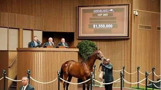 Debuta hermano completo del potro de mayor precio vendido este lunes por $2.8 millones