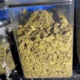 Preso por fazer “disk droga”, jovem já havia sido condenado pelo mesmo crime