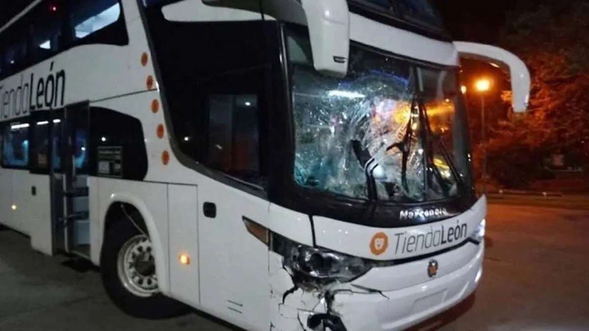 Manejaba un micro rumbo a Mar del Plata y chocó contra un caballo en la Ruta 2: la Justicia condenó a AUBASA a pagar $4 millones