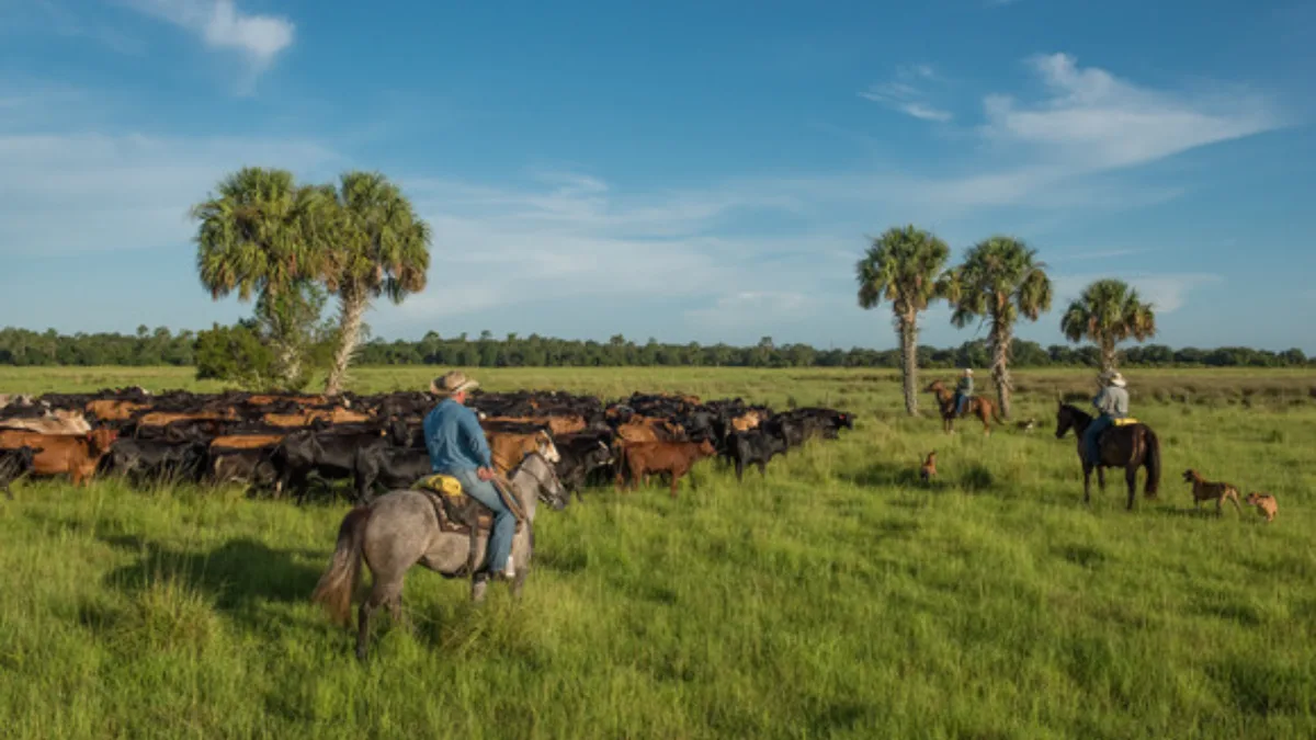 Florida protects 1,034-acre cattle ranch in $6.52m conservation deal