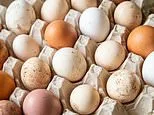UK salmonella cases near 500 after outbreak spike: How to keep yourself safe