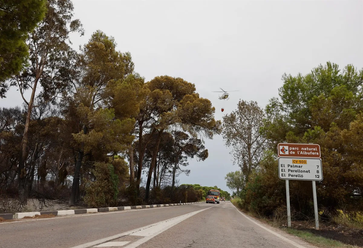 La dirección del incendio de El Saler anuncia el fin de las restricciones de movilidad desde las 23.59 de hoy