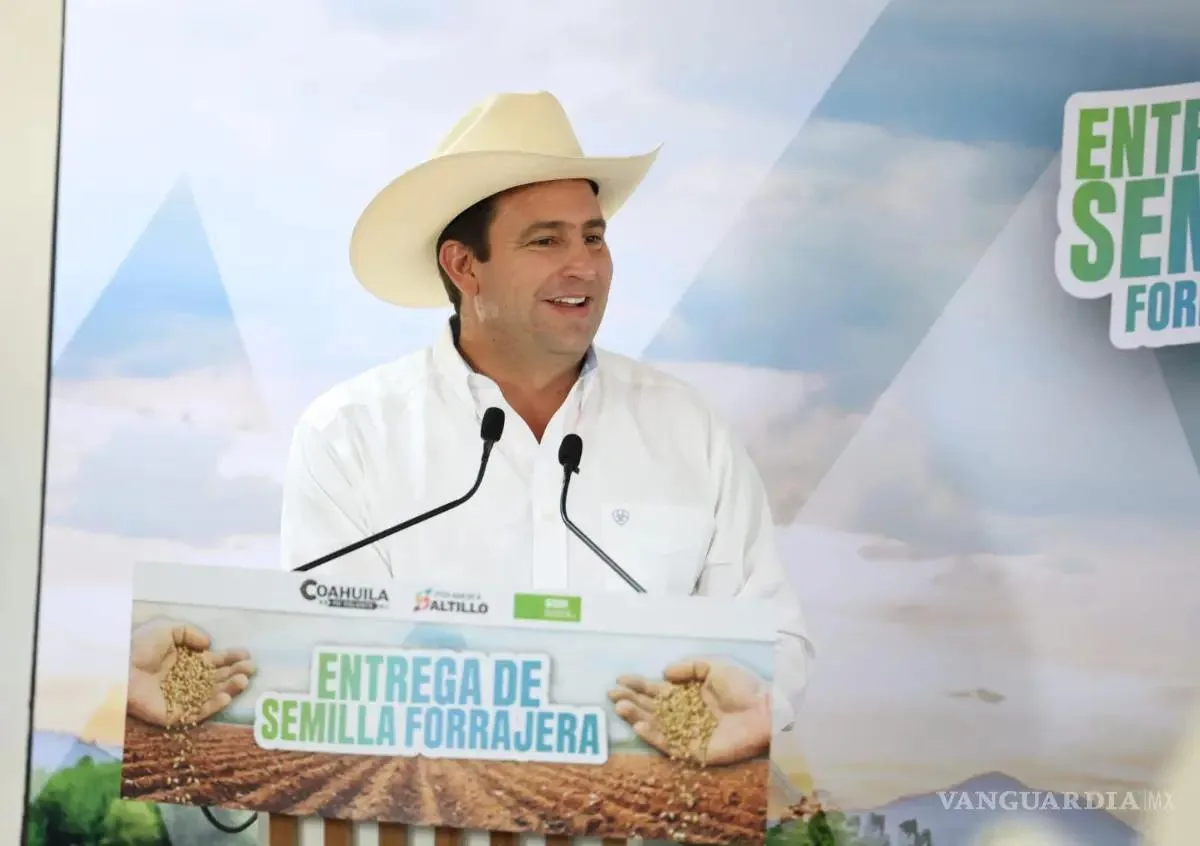 Confían en mejores cosechas de avena por lluvias en Saltillo