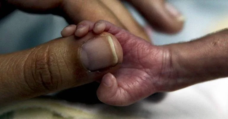 Coimbra. Concurso público para nova maternidade em breve