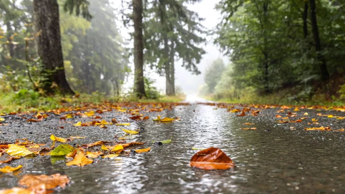 Spätsommer sagt heute Tschüss - Jetzt kommt der Herbst herangestürmt