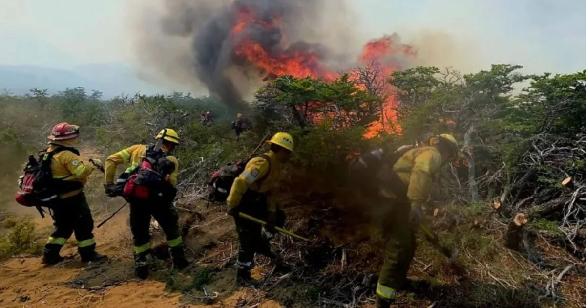 Día Mundial de la Prevención de Incendios Forestales: cómo evitar qué sucedan