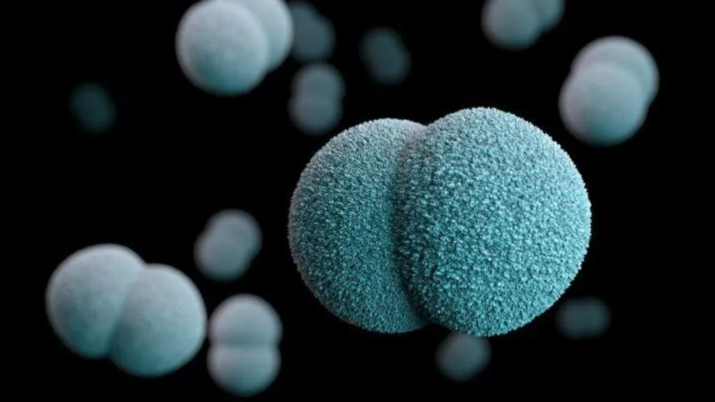 Second WA child hospitalised with meningococcal disease in two weeks as health authorities issue warning