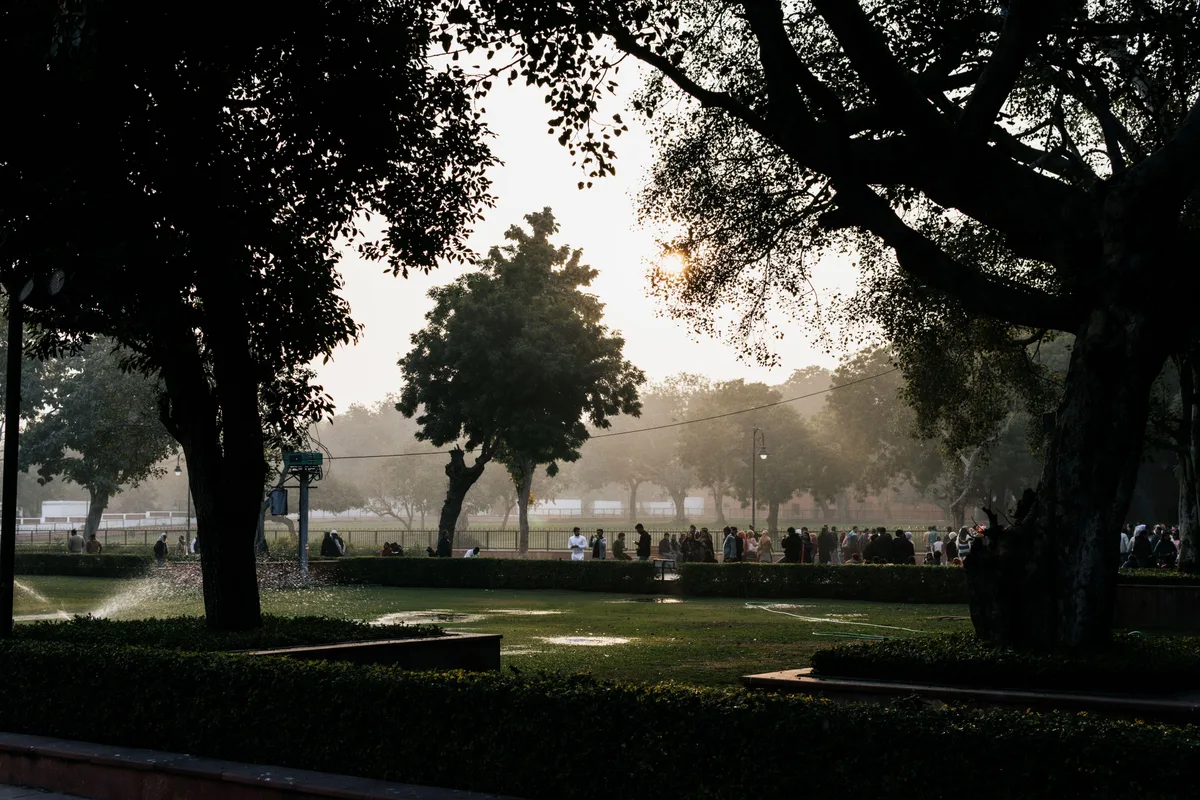 From Ridge to Yamuna: Delhi plans a 200-km green-blue ecological network