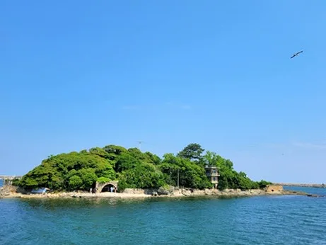 부산 기장군 '죽도 매입' 논란…군수·국민의힘 군의원 갈등