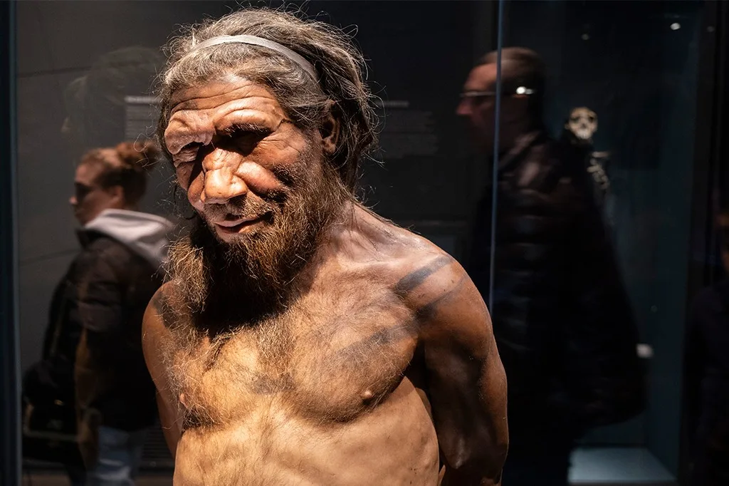 Gene neandertal faz alguns humanos ficarem mais altos e musculosos