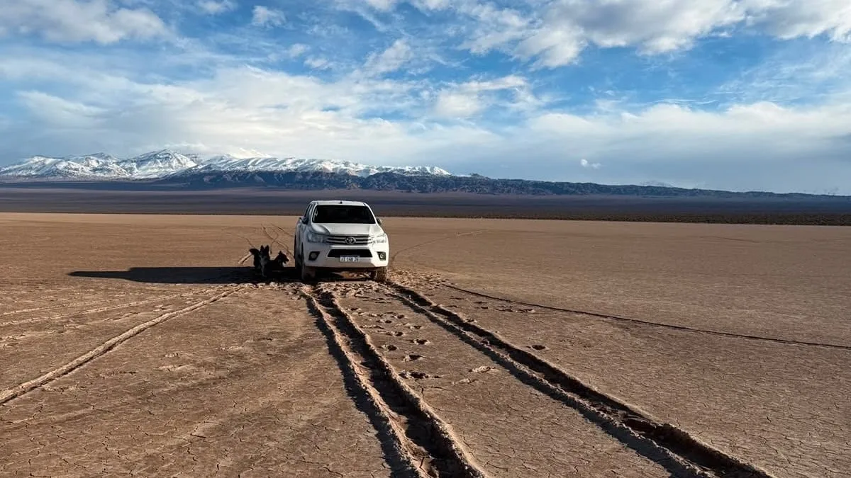 Se conocieron nuevas imágenes que muestran cómo quedó la Pampa del Leoncito tras el paso de una camioneta