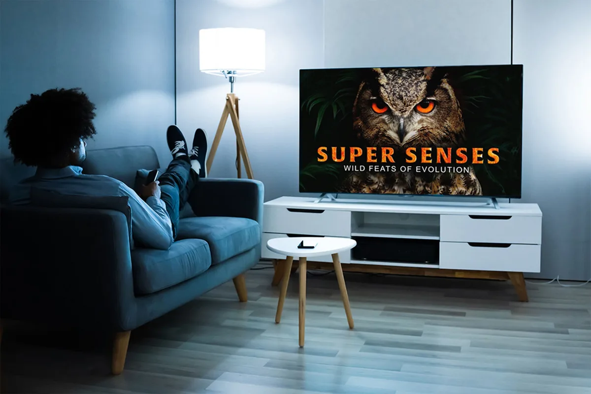 One $130 payment unlocks 4,000+ documentaries for life