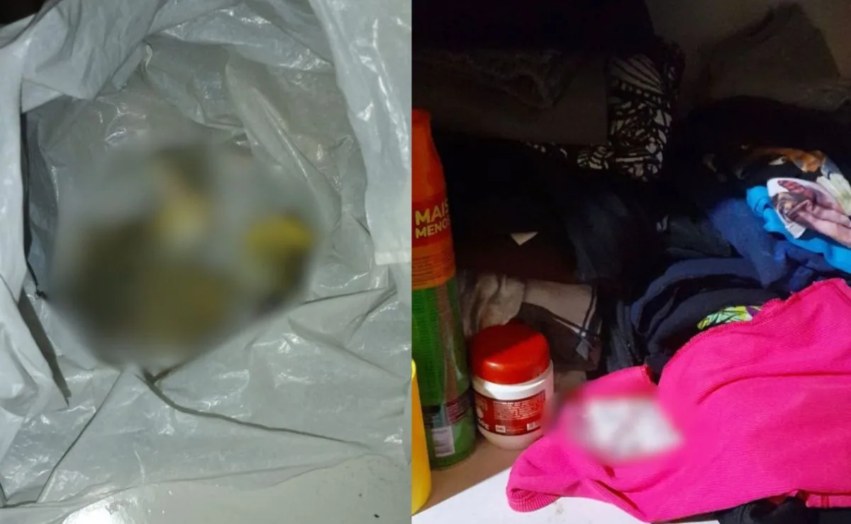 Operação contra tráfico de drogas termina com sete presos; cocaína e arma são apreendidas em Cianorte