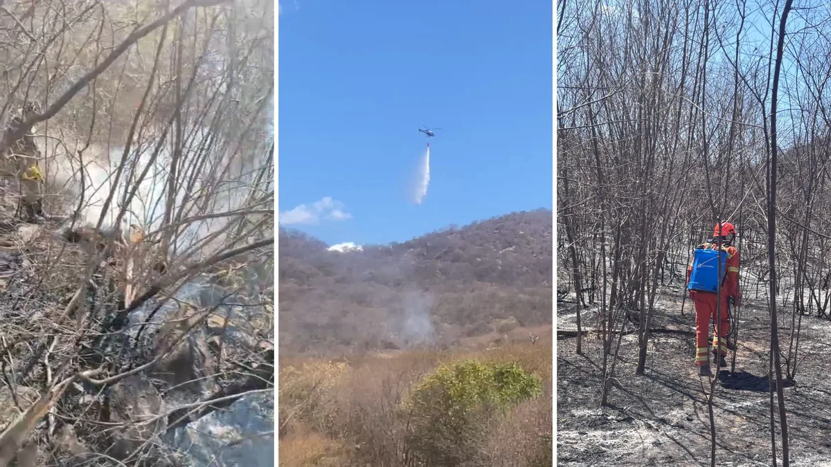 Incêndio no Sertão da Paraíba é extinto após destruir cerca de 800 hectares de vegetação