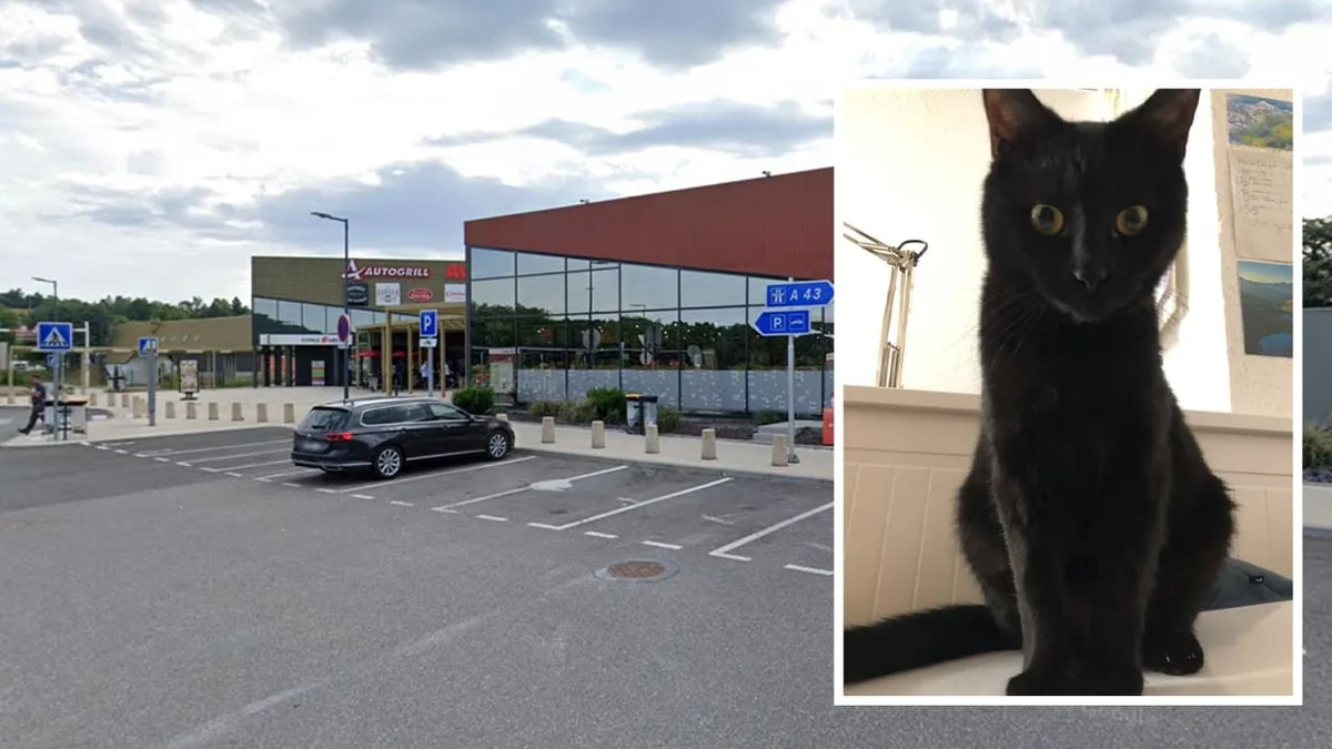 Wegen entlaufener Katze - Familie verbringt Urlaub an Autobahnraststätte