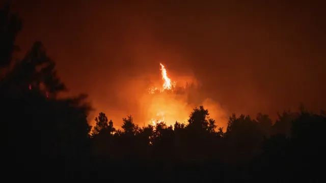 Governo reconhece fogos de Vouzela e Valpaços como catástrofe natural