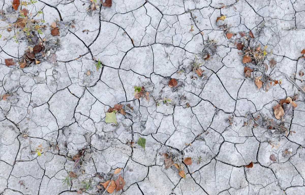 Canicule : Délivrance, une « baisse des températures progressive » samedi sur la moitié ouest du pays