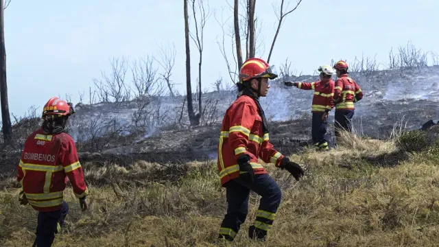 Incêndios: Fogo em Boticas tem quatro frentes ativas