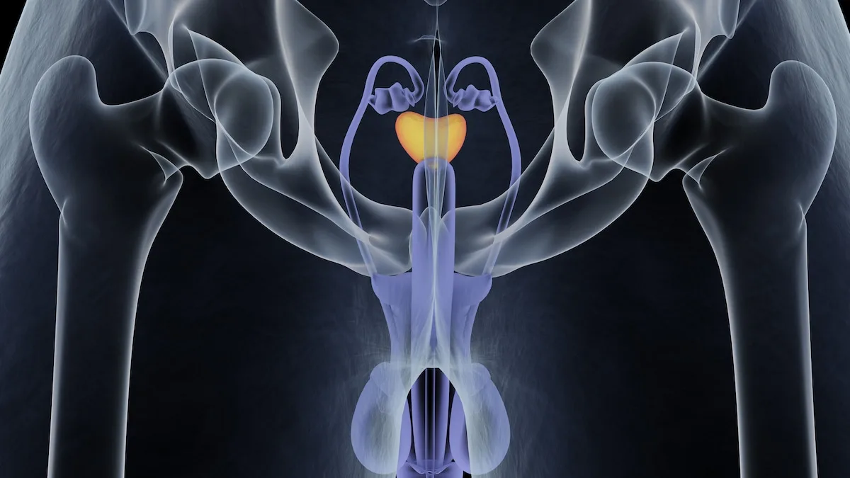 Prostata: So simpel sorgen Sie laut Medizinern für eine gesunde Prostata