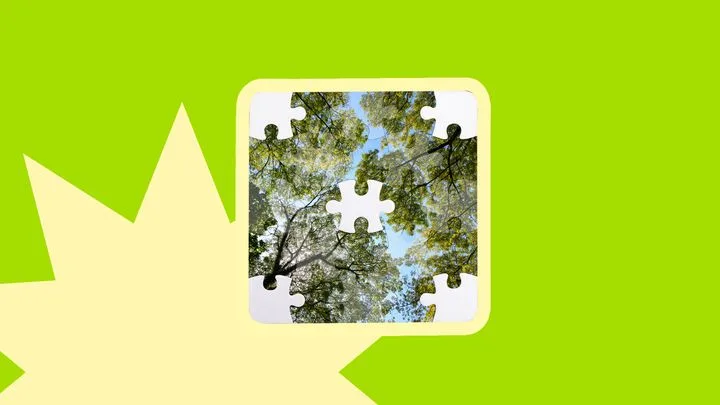 Les arbres sont plus timides que vous ne le pensez