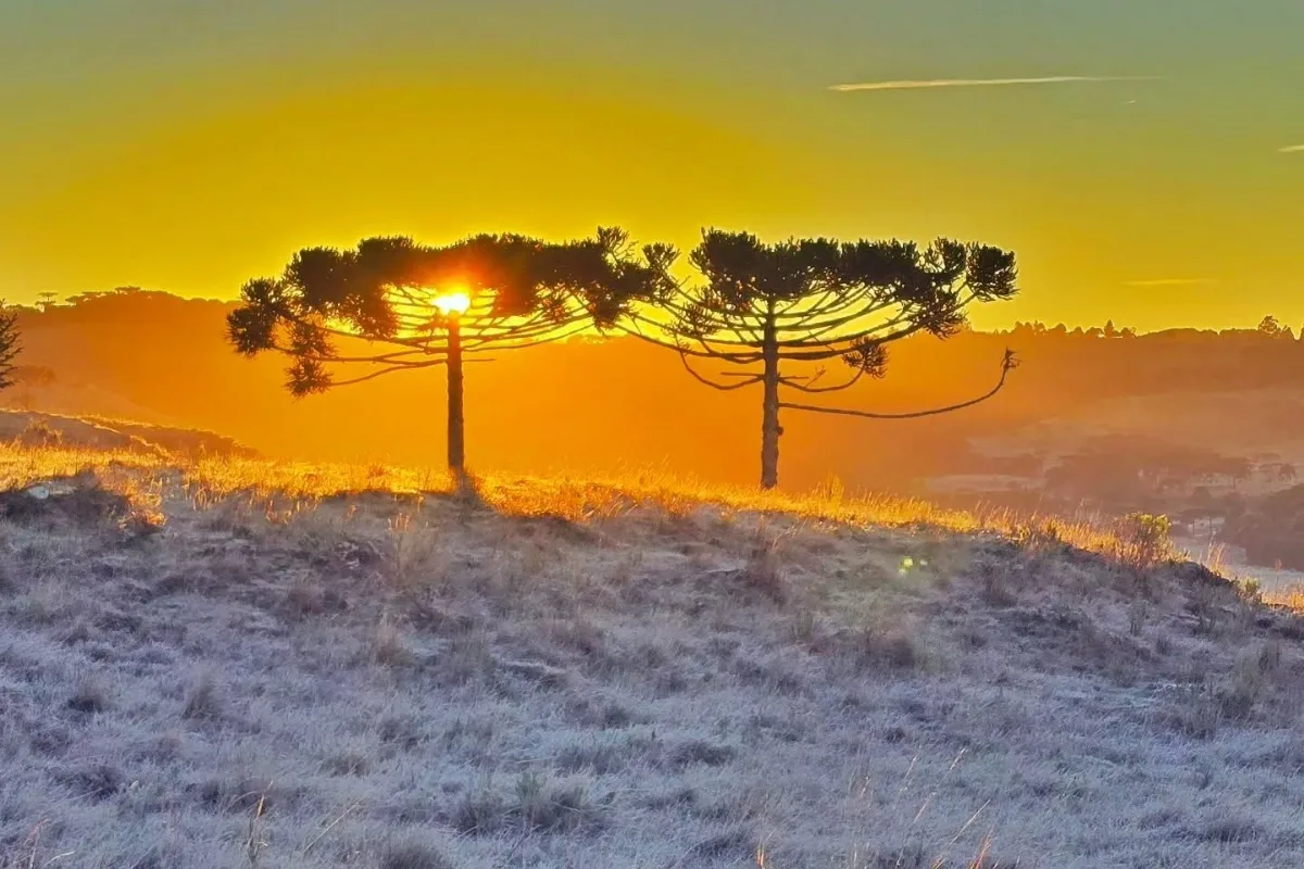 Massa de ar polar causa temperaturas negativas e geadas no RS e em SC