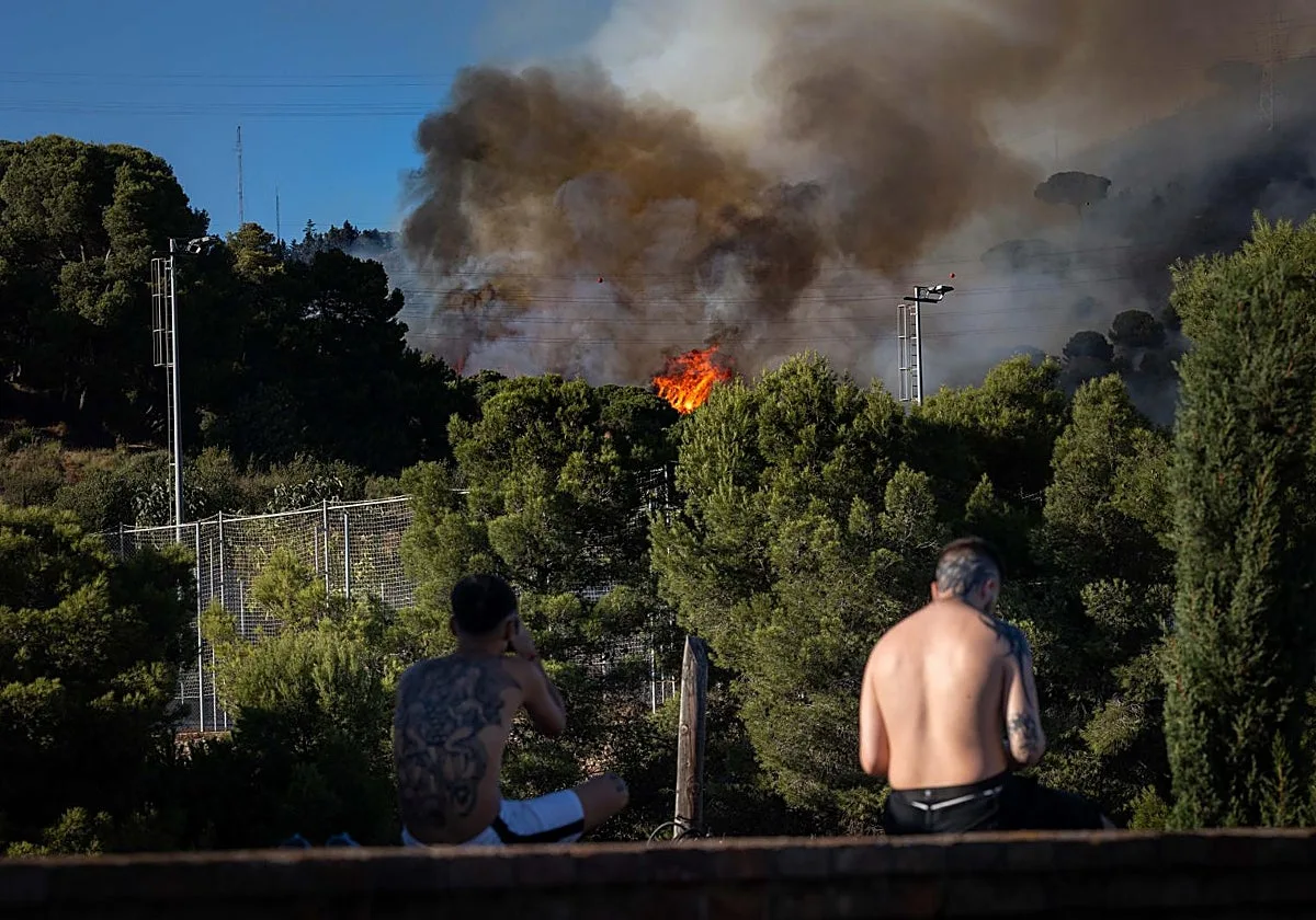 Los bomberos estabilizan el incendio de Collserola (Barcelona) y esperan controlarlo este miércoles