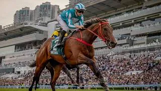 El caballo más rico del mundo no correrá más: entérate de los detalles de su retiro