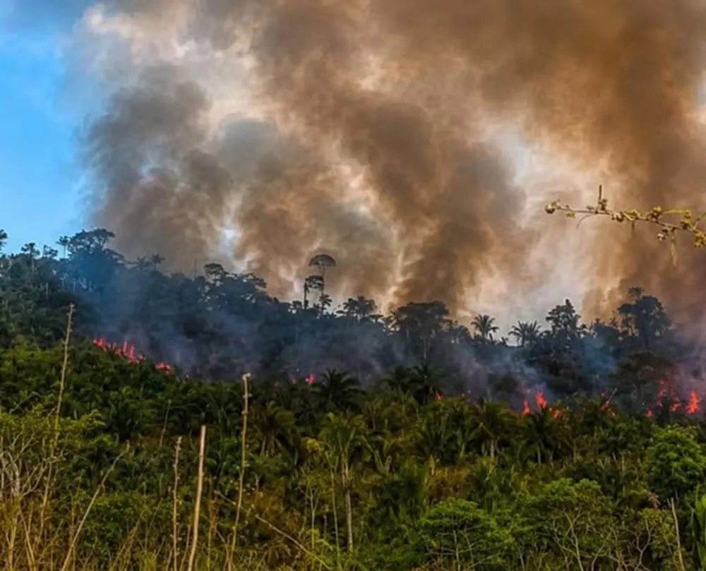 Incêndio avança em área de desintrusão na Terra Indígena Apyterewa, no sul do Pará