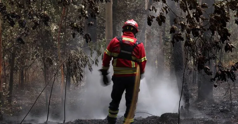 Homem detido por suspeita de incêndio em Guimarães