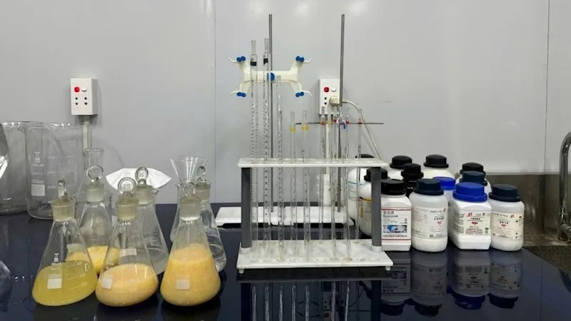 WA Jupiter giant repeats 58% rare earths carbonate trick for Critica