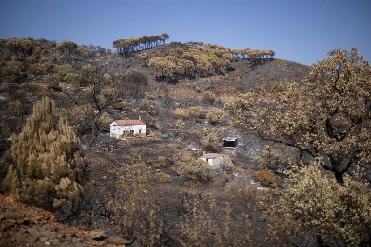 El Gobierno declara zona afectada gravemente a municipios afectados por los terremotos y el incendio de Niebla