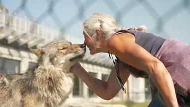 Wolfsschützerin Tuva Thorsson
