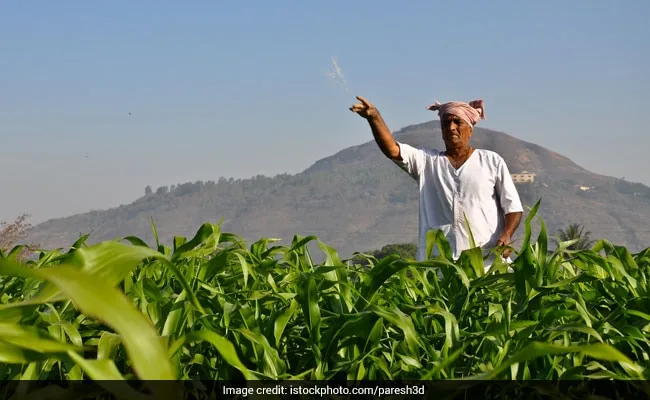 JPMorgan Warns Of Food, Fertiliser Crisis In 2027. What It Means For India