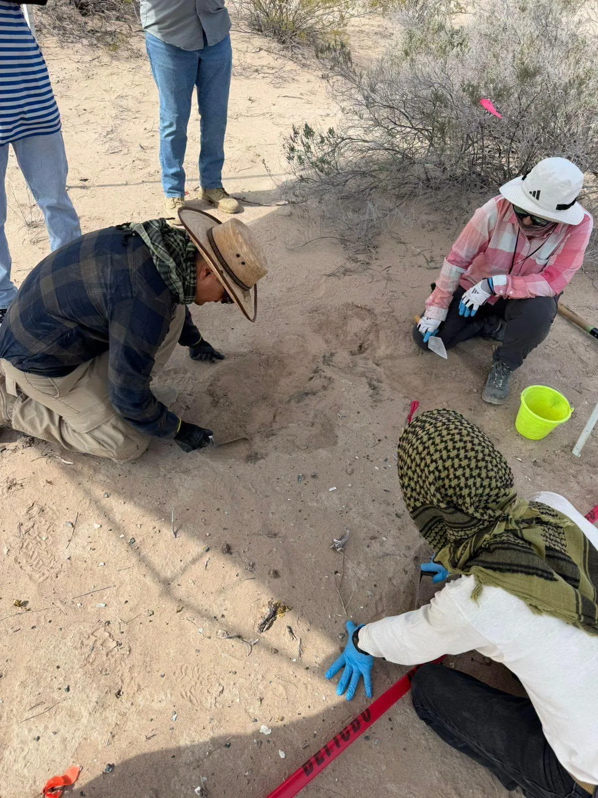 Encuentran nuevas fosas con restos humanos en Viesca, Coahuila; Grupo Vida reporta avances