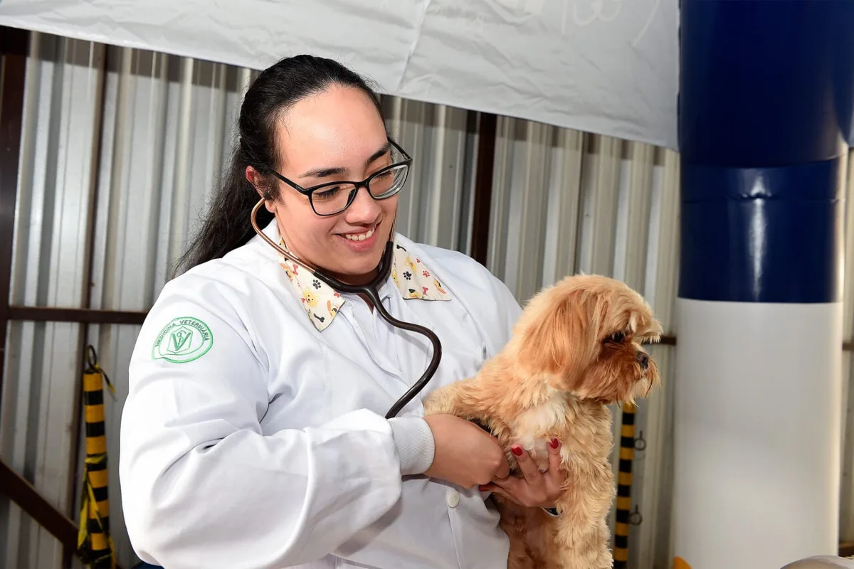 Litoral do Paraná recebe programa de vacinação de cães e gatos
