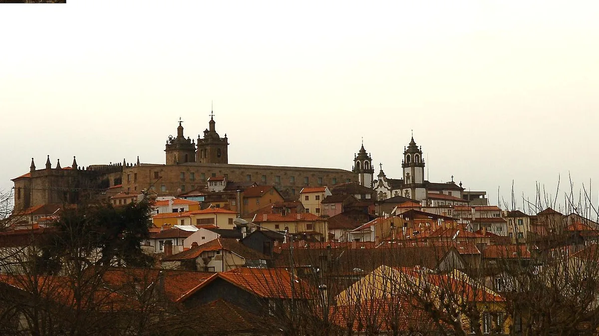 Transportes gratuitos em Viseu entram em vigor hoje: saiba quem pode beneficiar e como pedir o passe