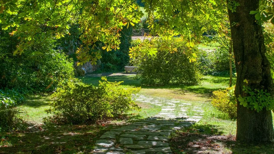 Sécheresse : les conseils d'un paysagiste de l'Yonne pour adapter son jardin aux fortes chaleurs