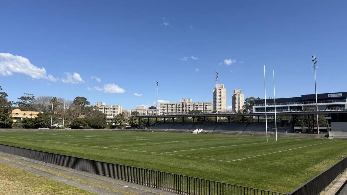 Teen detained after boy's hand chopped off in park