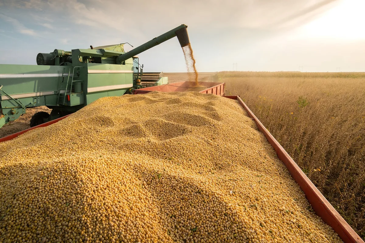 El mejor precio en un año: se aceleraron las ventas de soja y todavía quedan US$11.000 millones en grano por comercializar