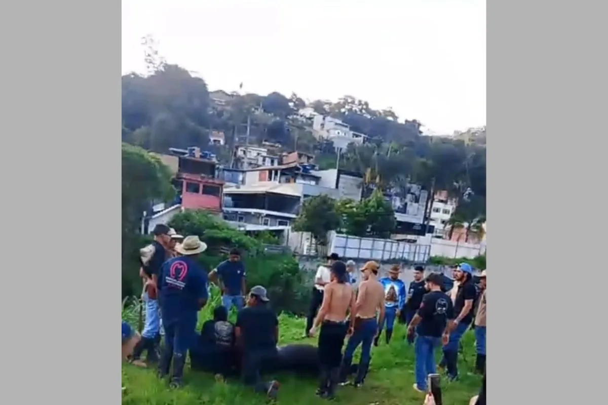 Cavalo morre após cavalgada de Nossa Senhora Aparecida, em Nova Friburgo; caso gera debate sobre bem-estar animal